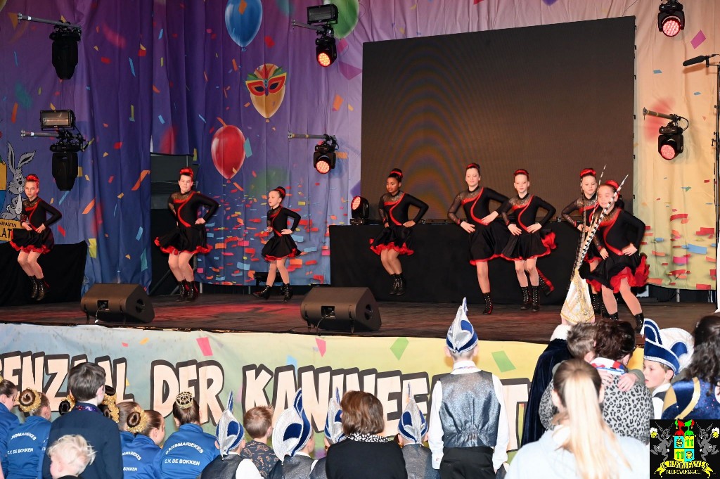 ../Images/Dansmariekefestival 2025 054.jpg